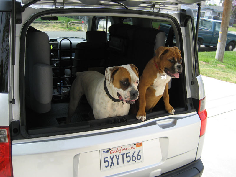 http://www.innxproducts.com/Pets/cargo-liner-cover/Delux-Cargo-liner-cover.html